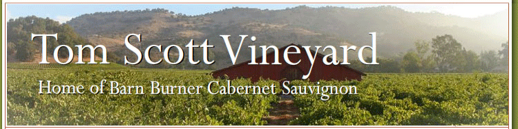 Tom Scott Vineyard - Home of the Barn Burner Cabernet