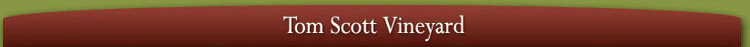Tom Scott Vineyard Newsletter