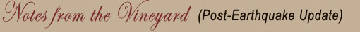 Notes from the Vineyard